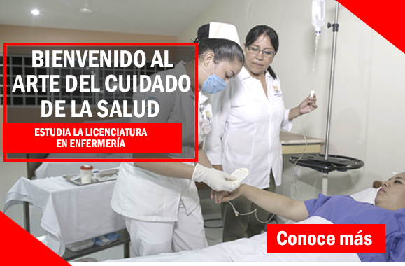 Licenciatura en Enfermería